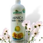 KRIG'S Homeo42 Wheezal Arnica Hair Scalp Shampoo 1000Ml - Family Jumbo Pack - Fast Shipping to USA
