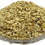 Organic Bites Kapas Minji | Cotton Seeds | Kapas Magaj -100 gm - Fast Shipping to USA & Canada