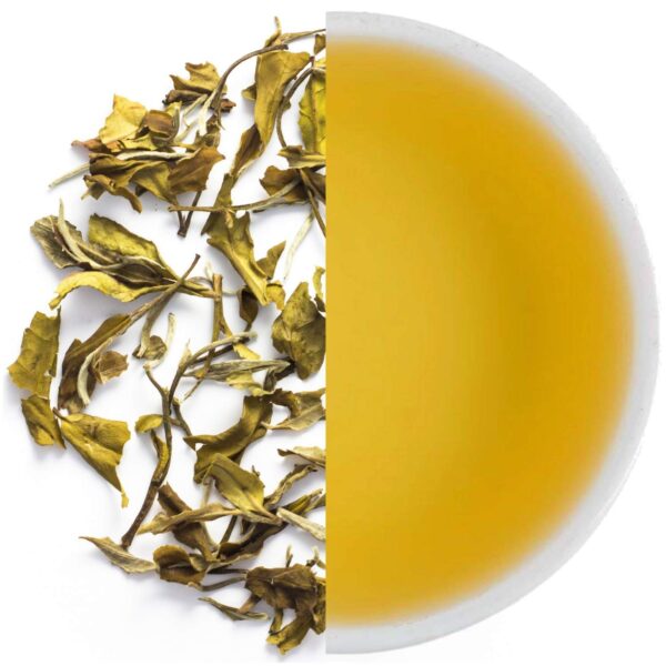 Makaibari Bai Mu Dan White Tea ( Pai Mu Tan or White Peony ) 20 Pyramid Tea Bags | 100 % Pure Single Estate | Makaibari | White Tea | Rich In Antioxidant | Leads to Healthy Lifestyle | Staple Free | Hand Made - Fast Shipping to USA & Canada