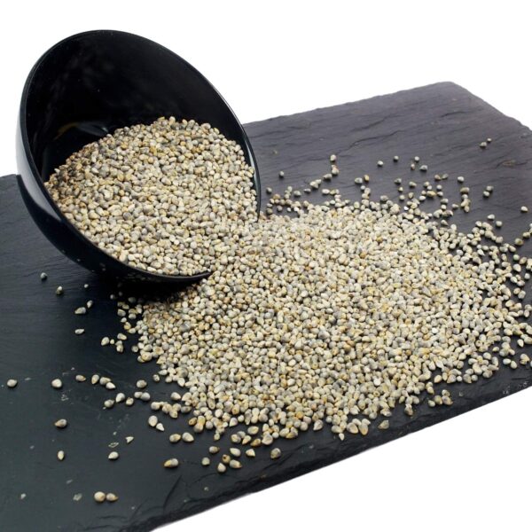 More Whole Grains - Bajra (Loose,500 Gram) - Fast Shipping to USA & Canada