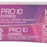 Raaga Professional Pro 10 Hair Color - Natural Brown, 4, 90 g - Fast Shipping to USA & Canada