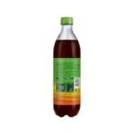 Paper Boat Swing Jeera Fizz 600ml | Jeera Soda | Cumin Flavour | Carbonated Water - Fast Shipping to USA & Canada - Image 6