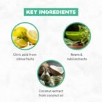 Born Good Plant Based Turkish Applewood Fragrance Disinfectant Liquid Floor and Surface Cleaner, Biodegradable, Non-Toxic And Eco-Friendly - 1 Ltr (Pack of 1) Refill Pouch - Fast Shipping to USA & Canada - Image 5