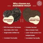 Pride of India | Assamese Gold English Breakfast Blend | 15 Predium Pyramid Full Leaf Individually Wrapped Tea Bags | Full-Bodied, Strong & Malty Flavor | Single Estate Certified Classic Tea - Fast Shipping to USA & Canada - Image 6