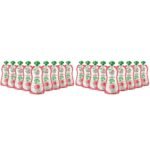 Paper Boat Lychee Juice, Litchi Jelly Drink Enriched with Vitamin D, No Added Preservatives and Colours (Pack of 18, 150ml each), Pink - Fast Shipping to USA & Canada