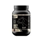 BeastLife Whey Protein Powder Rich Chocolate Flavour With Ultrasorb Tech,24G Protein,5.3G Bcaa,Sports Nutrition|High Absorbtion Fuels Muscle|Speed Recovery For Men & Women 924g Rich Chocolate - Fast Shipping to USA & Canada