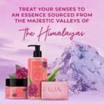 Lux Essence of Himalayas Rose & Aloe Vera Exfoliating soap 5 x 125 g - Fast Shipping to USA & Canada - Image 5