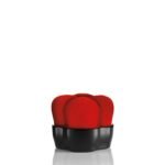 Shiseido Hanatsubaki Hake Polishing Face Brush - Red - Fast Shipping to USA & Canada