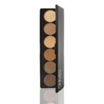 STARS COSMETICS Derma Color Palette Cream Foundation Matte Finish Long lasting Full coverage transferproof Suitable All Skin Types Waterproof Face Makeup Foundation For girls women (Multi Color) 24g - Fast Shipping to USA & Canada
