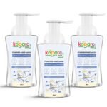Koparo Natural Foaming Hand Wash | 250ml - Pack of 3 | Vanilla & Blueberry Fragrance | pH Balanced Infused With Glycerin | Safe for All Skin Types | Plant Based | Safe for Kids - Fast Shipping to USA & Canada