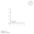 GIVA 925 Silver Cubic Beauty Ring,Fixed Size,Indian - 12| Gifts for Women and Girls | With Certificate of Authenticity and 925 Stamp | 6 Months Warranty - Image 5