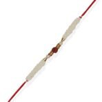 ACCESSHER Rudraksh Rakhi with Acrylic Peacock Pooja Thali & Card - Fast Shipping to USA & Canada - Image 3