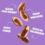 Yogabar Premium Brazil Nuts 250g, High Protein and Fibre, Zero Cholesterol, Ethically Sourced - Fast Shipping to USA & Canada - Image 5