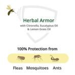 Mother Sparsh Natural Insect Repellent Spray For Babies | With Citronella, Eucalyptus & Lemongrass Oil | 100% Protection from Mosquitoes, Fleas and Ants- 100ml (Pack of 3) - Fast Shipping to USA & Canada - Image 3