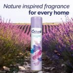 Odonil Room Air Freshener Spray, Lavender Mist - 550ml | Nature inspired fragrance for Home & Office - Fast Shipping to USA & Canada - Image 5