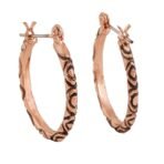 Estele Fashionable Hoop & Circular Drop Earrings for Girls & Women's - Fast Shipping to USA & Canada