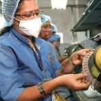 Estele Designer Fancy Earings for Women & Girls - Fast Shipping to USA & Canada - Image 6