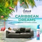 Odonil Destinations Room Air Freshener Spray, Assorted Pack of 2 | 480 ml (240 ml * 2) | Tropical Sunrise & Carribean Dreams - Fast Shipping to USA & Canada - Image 7