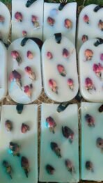 Sage & Herbs Rose Buds - Aroma Wax Sachet - Fast Shipping to USA & Canada