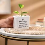 Sage & Herbs Money Plant Pot - Best Money Tree Planter - Fast Shipping to USA & Canada - Image 2