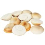 SriSatymev Original Gomti Chakra/Gomati for Lakshmi Pooja, Wealth, Astrology (Mix Sizes, 51), White - Fast Shipping to USA & Canada