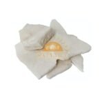 SriSatymev Jawakhar/Pearl Ash, 100g - Fast Shipping to USA & Canada - Image 2