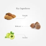 Sitaram Ayurveda Triphala Capsules 60 Nos | More Potent 600 MG Extract (other brands - 250 MG) | Triphala Capsules For Healthy Eyes | Keeps Away Greys & Wrinkles | Bowel Wellness | Improves Digestion. - Fast Shipping to USA & Canada - Image 4