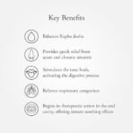 Sitaram Ayurveda Vyoshadi Vatakam 50gm (pack of 3) - Fast Shipping to USA & Canada - Image 3