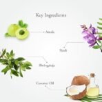 Sitaram Neelibringadhi Hair Oil | Ayurvedic Neelibhrungadi Thailam | Herbal Oil For Healthy Hair(200ml) - Fast Shipping to USA & Canada - Image 5