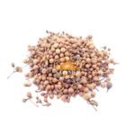 SriSatymev Naag Kesar | Nag Champa Phool | Mesua ferrea 100g - Fast Shipping to USA & Canada