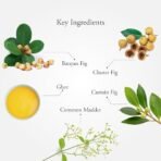 Sitaram Shathadhautha Ghritham 15gms | Shata Dhauta Ghrita | Effective Remedy For Burns And Blisters, Dry And Chapped Skin, Insect Sting And Bites - Fast Shipping to USA & Canada - Image 4