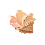 Milani Conceal + Perfect All In One Concealer Kit - Medium To Dark - Fast Shipping to USA & Canada - Image 4