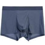 QWLEKSH Men's ice Silk Underwear Seamless Underwear, Summer ice-Feel Breathable Boxer Shorts Multicolor (Pack of 1) - Fast Shipping to USA & Canada