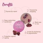 Nat Habit Lip Balm Fresh Infused Pomegranate Rose Lip Butter With Desi Ghee & Raw Honey For Lip Pigmentation, Lightening, Dark And Chapped Lips (10gm) (Pack of 2) - Fast Shipping to USA & Canada - Image 5