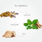 Sitaram Ayurveda Asthra Plus 225gm | Boosts Physical Strength | Ayurvedic Reproductive Support | Promotes Long-Term Wellness | - Fast Shipping to USA & Canada - Image 4