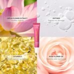 ind? wild Wedding Rose (15ml) Dewy Lip Balm | Hydrating & Plumping | Lasts 8+ hours | Rose-Tinted & Non-Sticky | With Natural Desi Ghee, Peptides, Hyaluronic Acid & Shea Butter | Korean Fomrulation - Fast Shipping to USA & Canada - Image 6