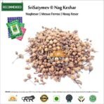 SriSatymev Naag Kesar | Nag Champa Phool | Mesua ferrea 100g - Fast Shipping to USA & Canada - Image 2