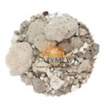 SriSatymev Banslochan (50g) | Bambusa Vulgaris - Bambusa Arundinacea Gum - Fast Shipping to USA & Canada