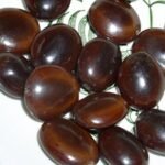 SriSatymev Pahadi Imli Beej 100g (Mountain Tamarind Seeds) - Fast Shipping to USA & Canada