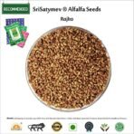 SriSatymev Alfalfa Seeds 1Kg WHOLESALE, Rajko, Alfalfa Seeds - Fast Shipping to USA & Canada - Image 3