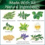 Surfer's Salve Travel Size 0.8 oz. Tin - Fast Shipping to USA & Canada - Image 6