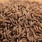 Zoff Whole Cumin Seeds Jeera 200gm - 100% Natural & Fresh - Hygienically Packed, Rich Aroma & Flavor - Nutrient-Rich Spice for Indian Cooking - Fast Shipping to USA & Canada - Image 4