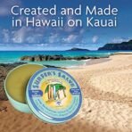 Surfer's Salve Travel Size 0.8 oz. Tin - Fast Shipping to USA & Canada - Image 5