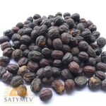 SriSatymev Bakayan | Bakand | Melia Azedarach | Bakain Seeds 200g - Fast Shipping to USA & Canada