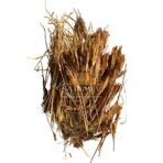 SriSatymev Gule Gafis 100g | Dry Gentiana Olivieri - Fast Shipping to USA & Canada