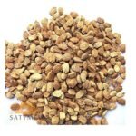 SriSatymev Karela Beej 100g | Bittergourd Seeds | Karela Seeds - Fast Shipping to USA & Canada