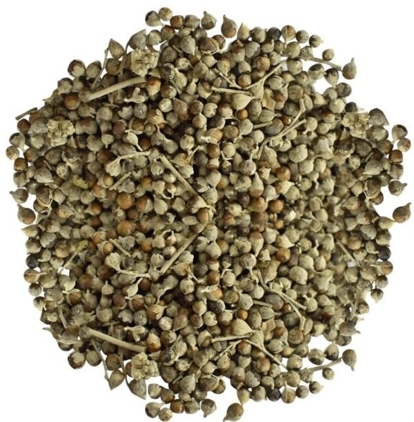 SriSatymev Nirgundi Seeds 500g WHOLESALE for Planting, Natural Herbal Seeds, Sambhalu, Vitex Negundo - Fast Shipping to USA & Canada