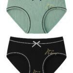 Fashionez Women's Cotton Panty Set | Soft & Breathable High Waist Underwear| Innerwear for Women (Multicolor )(Free Size)(Waist:26 to 34Inch) - Fast Shipping to USA & Canada