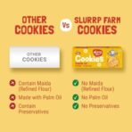 Slurrp Farm No Maida Assorted Cookies | Banana Oat - Choco Ragi - Milky Choco | Pack of 3x80g | Fast Shipping USA & Canada - Image 3
