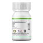 INLIFE Prebiotic & Probiotic for Gut Health - 60 Capsules - Fast Shipping to USA & Canada - Image 6